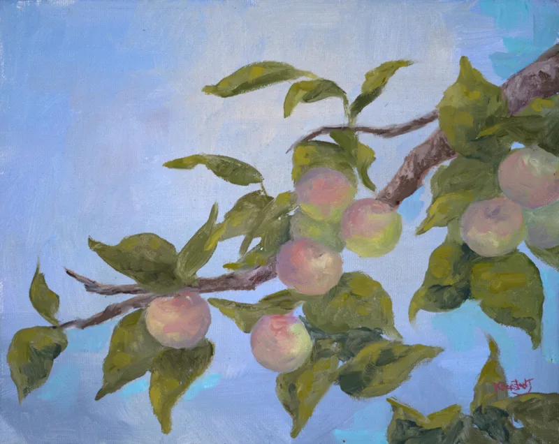 Penrod’s Plums 2023
