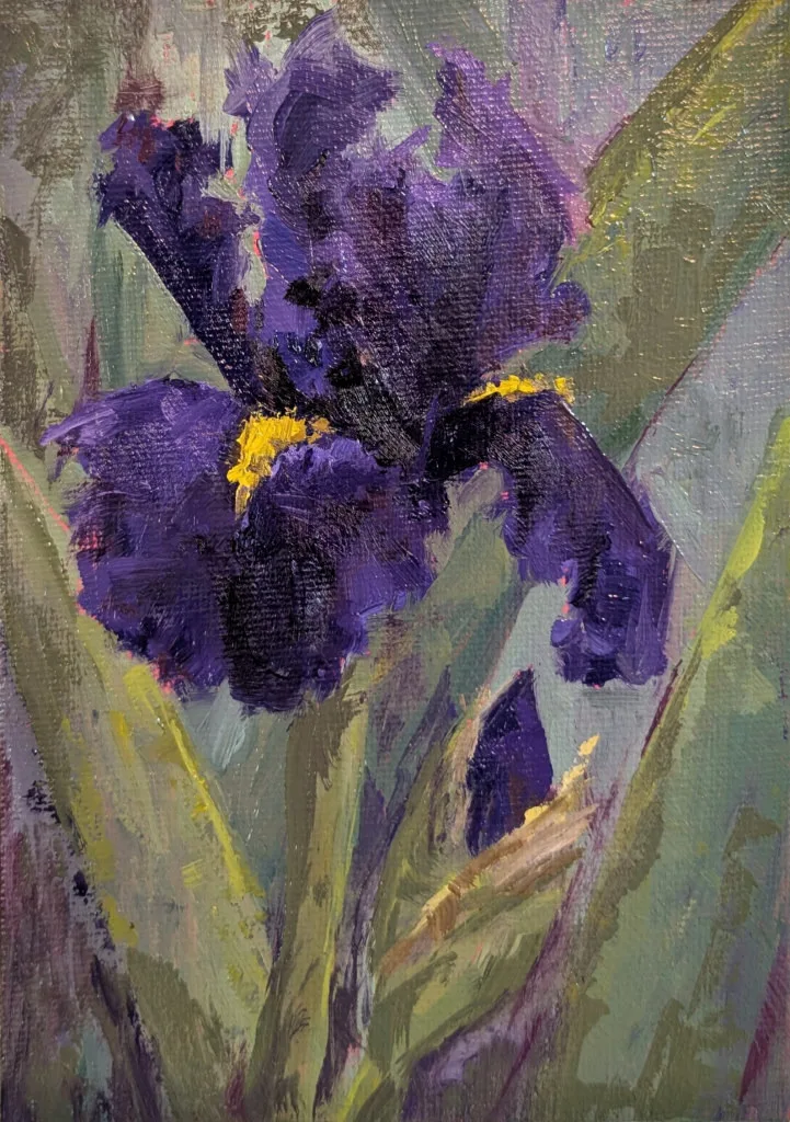 Deep purple bearded iris in bloom, vertical composition.