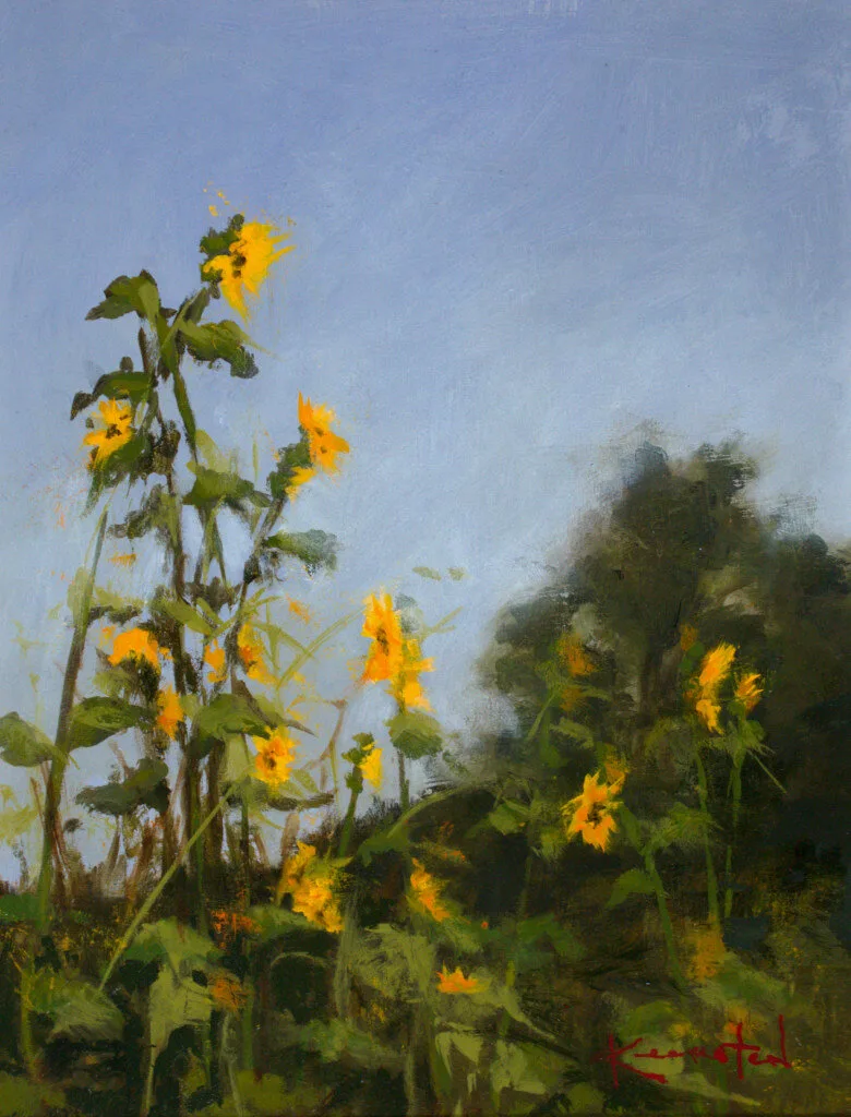 plein air painting of tall yellow sunflowers against blue sky and dark foliage