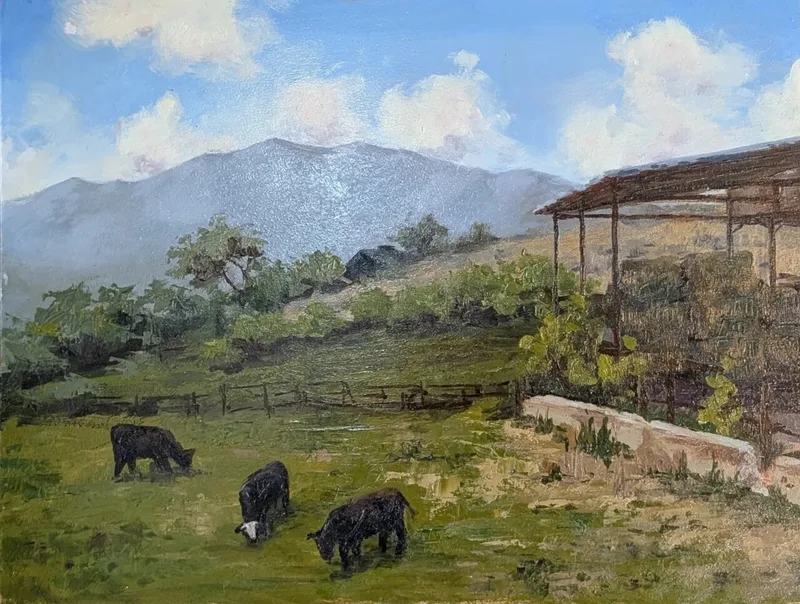 Three black cattle grazing in a green pasture with hay shed and mountains beyond.